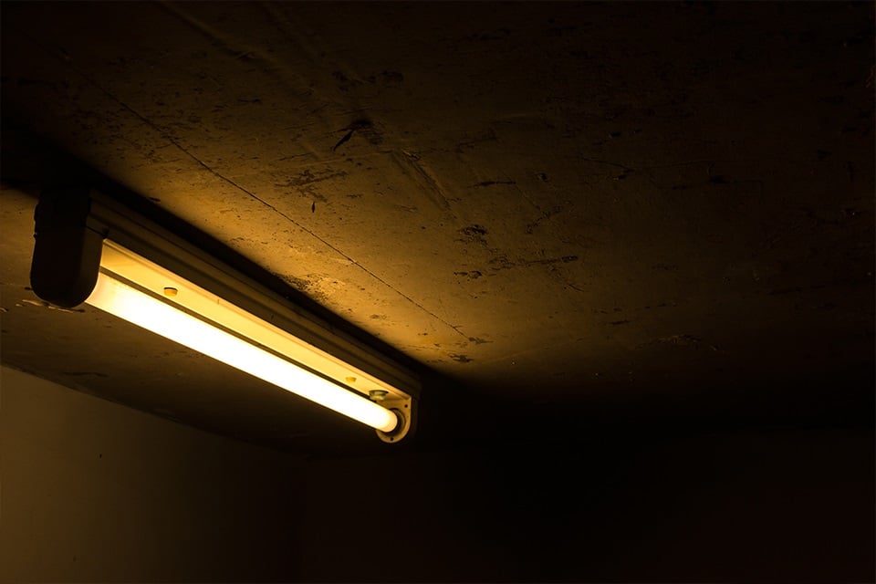 T8 fluorescent or LED tubes